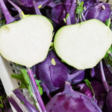 U2616 Purple Fruit Kohlrabi F1 Seeds | 1.65 lb Crisp White-Fleshed Bulbs
