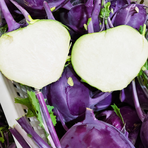 U2616 Purple Fruit Kohlrabi F1 Seeds | 1.65 lb Crisp White-Fleshed Bulbs