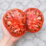 1154 Chocolate Henry F6 Tomato Seeds | 10.6–24.7 oz Chocolate Beefsteaks