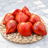 1150 Heart of Ukraine Red Tomato Seeds | Elegant Early Red Oxhearts