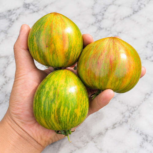1143 Rainbow Veselka Tomato Seeds | 1.8–3.5 oz Green-Gold Striped Bicolors