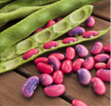 Scarlet Runner Pole Bean Seeds | Magic Pink Purple Pods