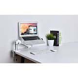 XT-XINTE Aluminum Alloy Adjustable Portable Gas Spring Desktop Bracket for 10-17 Inch Laptop Notebook Computer Stand