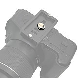FEICHAO 10 Pcs / 100 Pcs  D-Ring 1/4 Inch Tripod QR Screw for Camera Tripod Monopod Quick Release
