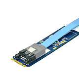 XT-XINTE M.2 to SATA 7Pin Adapter Card M.2 KEY B-M to SATA3.0 7 Pin Converter Adapter Board Card for M2 NGFF 2242 2260 2280 SDD