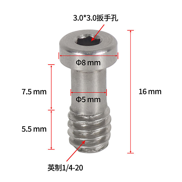 1/4 -20 Stainless Steel Hex Hexagon Socket Adapter Quick Release Screw for DSLR Cameras Tripod Rig Photo Studio Accessories