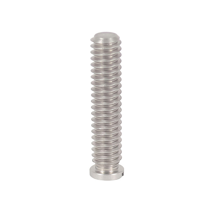 BGNing stainless steel slotted screw slotted cylindrical head slotted screw 1/4-20 * 28mm for camera accessories