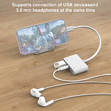 For iPad/iPhone Android Phone Laptop Adapter, 3.5 Audio Port/Lighting Port/SD/TF Extender To CF+SD+TF Multi Ports Adapter