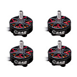 4 pieces Axisflying FPV Aerial Photography C2406 5-inch/6-inch Flower Flying Model Brushless Motor C246-2050KV
