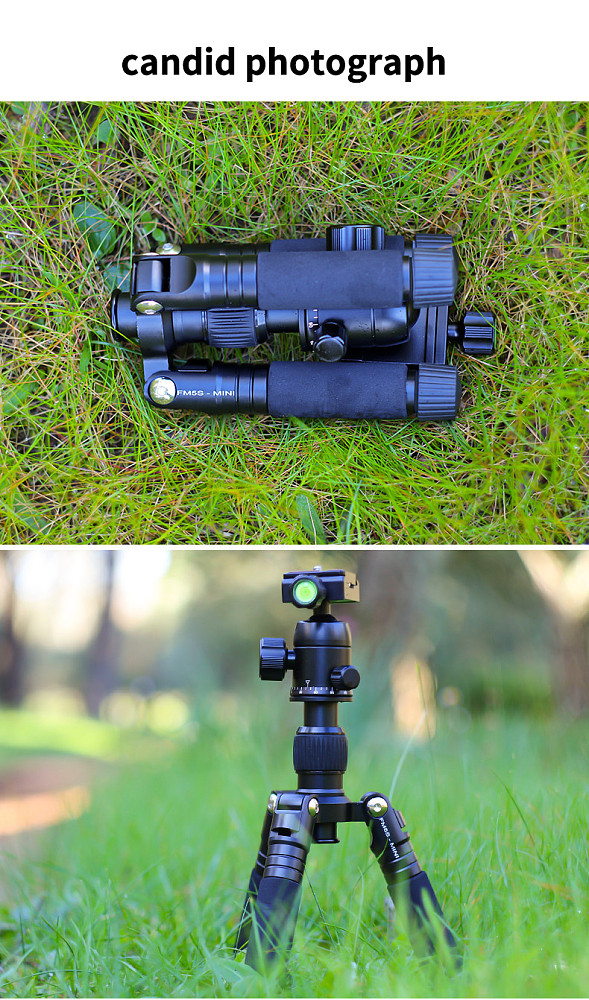 Mini Desktop Tripod Light Portable Micro DSLR Camera Climbing Tripod Mobile Phone Live Stands