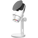 M9/MU-900oro USB Microphone Gaming Phone Voice Live Desktop RGB Recording Noise Reduction Capacitive Microphone