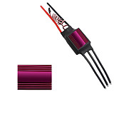 80A 120A 200A Bidirectional Brushless ESC for Remote Control Car Boat Pneumatic Underwater Propeller