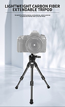 Carbon Fiber Tripod Portable DSLR Small Universal Ultra Light Bracket Photography Tripod For Camera Mobile Phone 