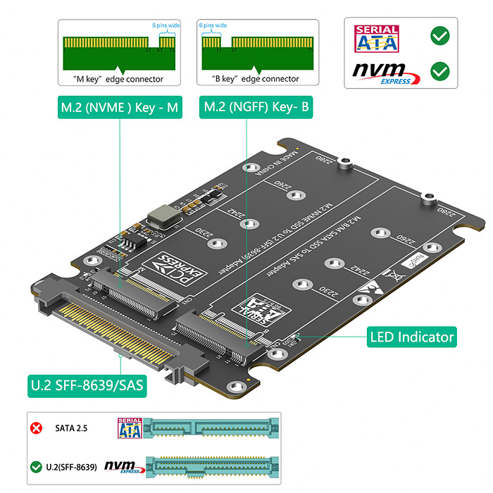 Dual M.2 Key B+M to U.2 SFF-8639 Adapter , Support M.2 NVMe Key M & SATA SSD(Key B), 2-in-1 M2 to U.2 SFF8639/SAS Converter Card