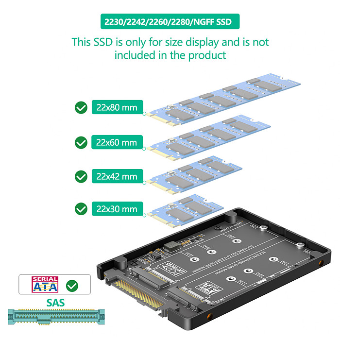 Dual M.2 Key B+M to U.2 SFF-8639 Adapter With Black Plastic Enclose, Support M.2 NVMe Key M & SATA SSD(Key B), 2-in-1 M2 to U.2 SFF8639/SAS Converter Card