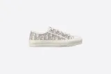Walk'n'Dior Sneaker Gray Dior Oblique Embroidered Cotton