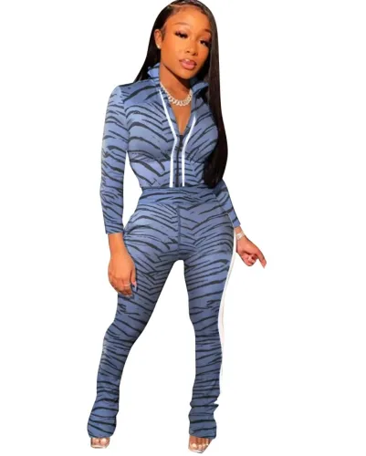 Autumn Zebra Print Zipper Crop Top and Pants Set