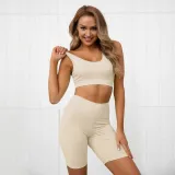 Sports Yoga Plain Bra and High Waist Shorts Set