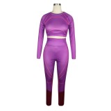 Autumn Sports Matching Crop Top and High Waist Legging Set