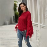 Autumn Plain Regular Sweater with Fringe Sleeves