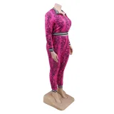 Plus Size Matching Leopard Tracksuit