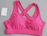 Sports Yoga Plain Bra and High Waist Shorts Set
