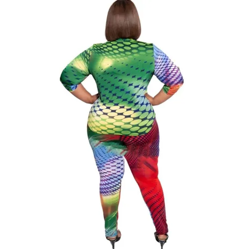 Plus Size Matching Colorful Blouse and Pants Set