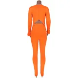 Autumn Matching Sexy Crop Top and High Waist Pants Set