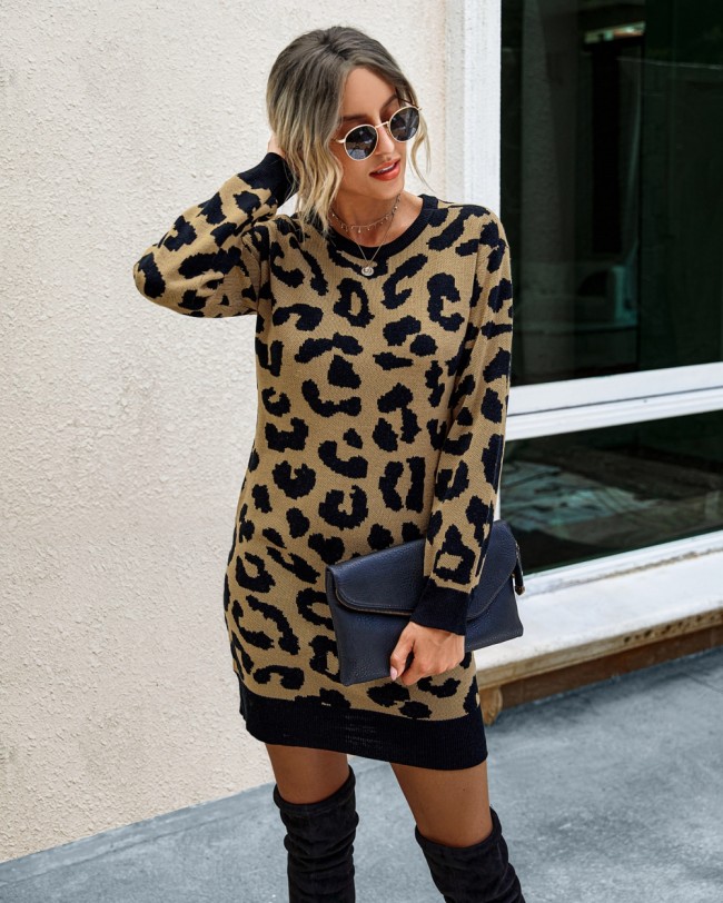 Falls Round Neck Leopard Knit Dress