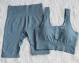 Sports Yoga Plain Bra and High Waist Shorts Set