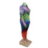 Plus Size Matching Colorful Blouse and Pants Set