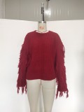 Autumn Plain Regular Sweater with Fringe Sleeves