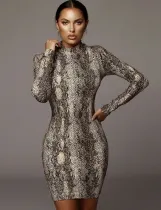 Long Sleeve Snake Skin Mini Club Dress