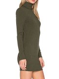 Casual Solid Turtle Neck Knitted Fall Dress