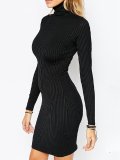 Casual Solid Turtle Neck Knitted Fall Dress