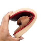 Women Warm Slippers Casual Comfort Shoes