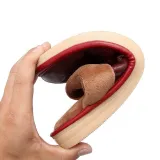 Women Warm Slippers Casual Comfort Shoes