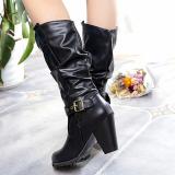Winter Chunky Heel Buckle Mid-calf Boots