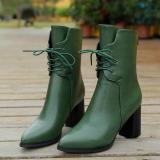 Women Lace-up Spring/Fall Chunky Heel Daily PU Boots