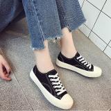 Canvas  Lace-up Flat Heel All Season Sneakers