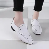 Women Chunky Heel Artificial Leather Rivet Spring/Fall Loafers