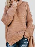 Turtle Neck  Plain Casual  Sweaters