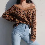 Leopard Brown V-Neck Women's Sweater