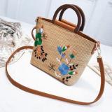 Women Embodied Straw Crossbody Bags