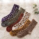 Women Casual Leopard Underwear & Socks