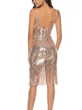 Sexy Deep V Sequins Tassel Bare Back Sling Evening Dress