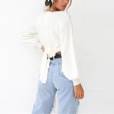 Brief V Neck Pure Color Long Sleeve Sweater