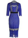 Elegant Round Neck Slim Lace Bodycon Dress