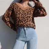 Leopard Brown V-Neck Women's Sweater