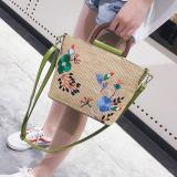 Women Embodied Straw Crossbody Bags